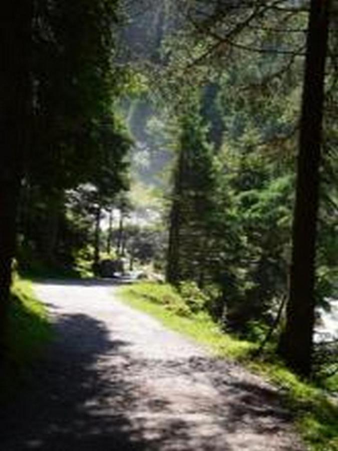 Haus Bachstelze Villa Neustift im Stubaital Buitenkant foto